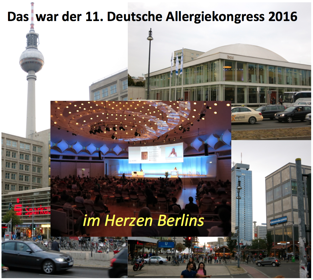 Nach dem 11.DAK_Berlin Collage_10-2016